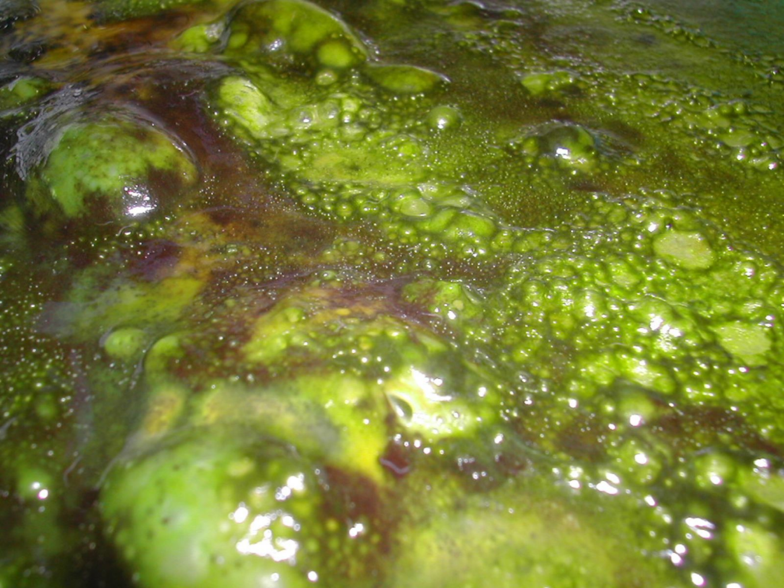 image (3)